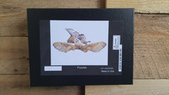BARN OWL VS HAWK PUZZLE PIECES: 252 Crystal White Card Stock with Gloss Finish